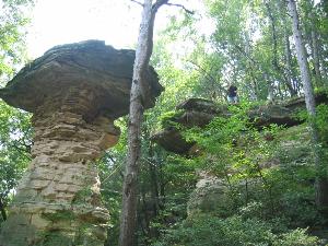 web-IMG_6231.JPG